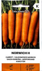 Carrot Norwich F1 Seed